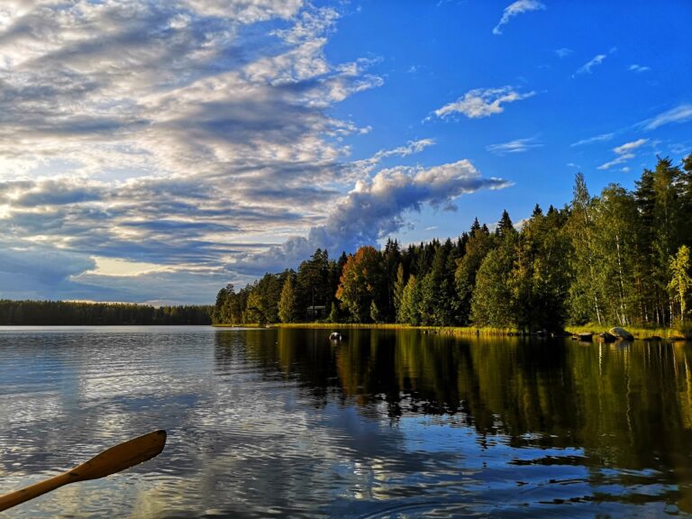 Read more about the article Itsenäisyyspäivä czyli Święto Uzyskania Niepodległości