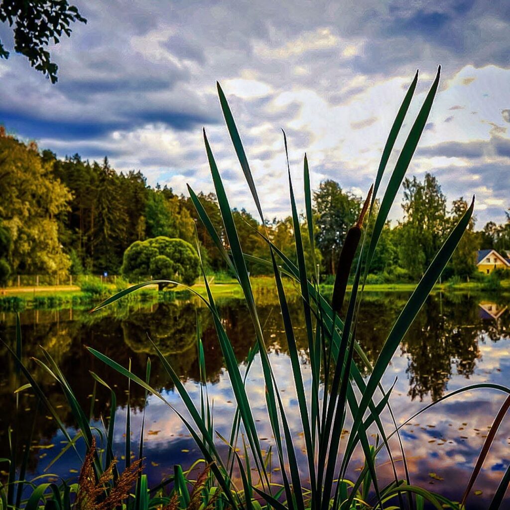 jezioro i zieleń przyrody Finlandia